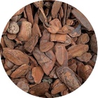 Casca De Pinus Polida P/ Decoração De Vasos De Planta 1,5kg