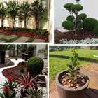 Casca De Pinus Polida Selecionada 80 Litros 14kg Média Para D