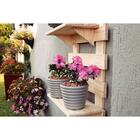 Casca De Pinus Polida Tramontina Tamanho P 5kg