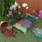 Casca Pinus 1,5Kg Geolia