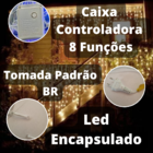 Cascata 400 Leds 10m C/ 8 Funções Morno C/ Fio Branco  220v