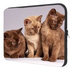 Case Notebook  Burmese 15.6"