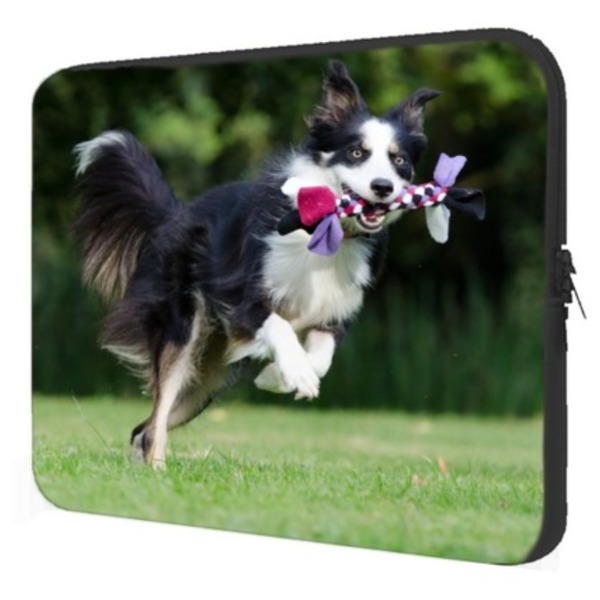 Case Notebook Dogs - Boder Collie  O Einstein Canino