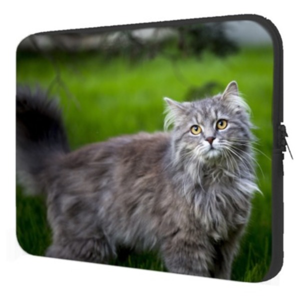 Case Notebook Gatos Maine Coon É Um Gato Ou Um Tigre Leroy Merlin