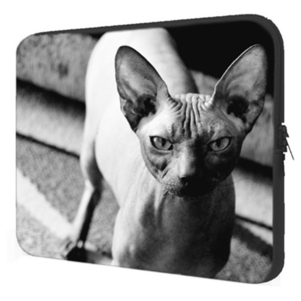 Case Notebook Gatos Sphynx O Extravagante Leroy Merlin