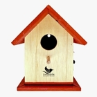 Casinha Livre Birds P2 Para Pássaros Livres - Vermelho