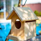 Casinha Pássaro Ninho Comedoro Em Madeira Crua