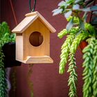 Casinha Pássaro Ninho Comedoro Em Madeira Crua