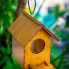 Casinha Pássaro Ninho Comedoro Em Madeira Crua