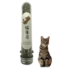 Catnip Erva De Gatos