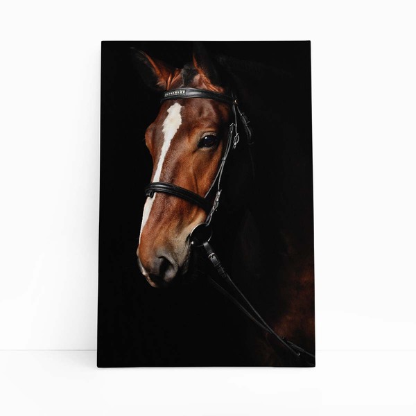 Cavalo Animais Fotografia Fundo Preto Quadro Canvas 60x40cm
