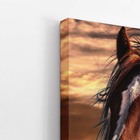 Cavalo Animais Fotografia Pôr Do Sol Quadro Canvas 100x70cm