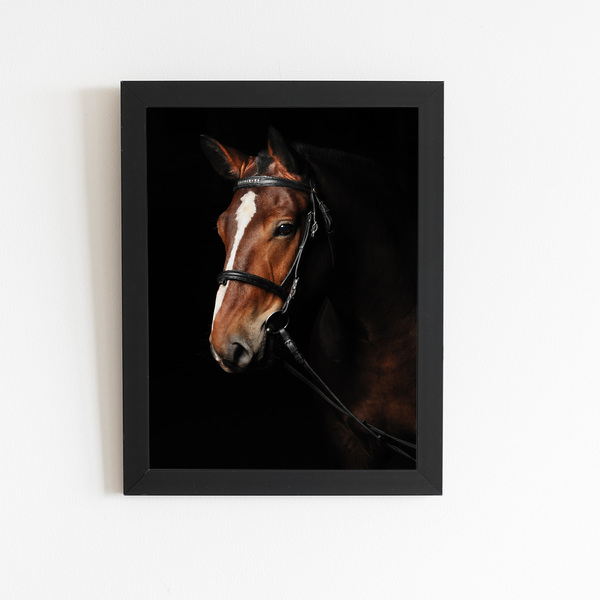 Cavalo Animais Fotografia Quadro Moldura Preta 60x40cm