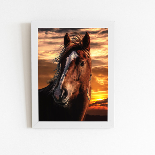 Cavalo Animais Pôr Do Sol Quadro Moldura Branca 60x40cm