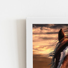 Cavalo Animais Pôr Do Sol Quadro Moldura Branca 60x40cm