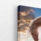 Cavalo Com Crina Branca Desenho Arte Quadro Canvas 60x40cm