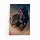 Cavalo Correndo Animais Fotografia Quadro Canvas 60x40cm