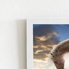 Cavalo Crina Branca Desenho Quadro Moldura Branca 60x40cm