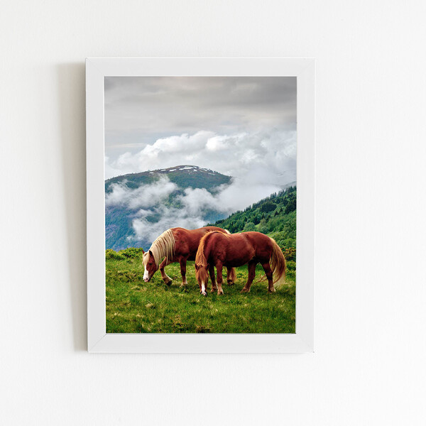 Cavalos Montanhas Paisagem Quadro Moldura Branca 60x40cm