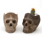 Caveira Porta-lápis Grande