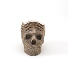 Caveira Porta-lápis Grande