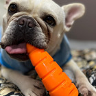 Cenourão Buddy Flex