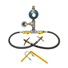 Central Glp Baixa Pressão 7kg Com Manômetro 2 Botijões P-13