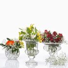 Centro De Mesa De Cristal - Wolff Sussex Grande 21cm