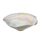 Centro De Mesa De Vidro Smooth Com Detalhe Furta Cor 45cm 514