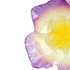 Centro De Mesa Lagune Em Vidro D26xa7cm Cor Lilas E Marrom