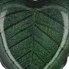 Centro De Mesa Pachamama Em Vidro L13,5xp11xa3,5cm Cor Verde