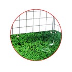 Cercado Aramado Porquinho Da Índia 60x60x30cm Preto Com Lona