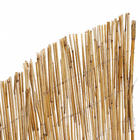 Cercado Oculto Cana 1x3m Bege Naterial