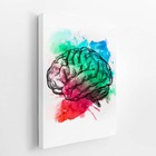 Cérebro Colorido Minimalista Arte Quadro Canvas 120x80cm
