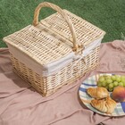 Cesta De Piquenique Retangular Bege 38 x 28 x 18 Oikos