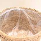 Cesto Cachepot De Palha Natural Seagrass Com Forro De Plástic