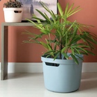 Cesto Cube Flex 28l Verde Eucalipto - Ou