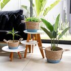 Cesto De Fibra Natural Seagrass Com Fundo Azul 20x27x27 Cm E0