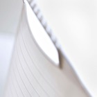 Cesto de Roupas Plástico Branco com Alça 29x43x43cm  Arthi