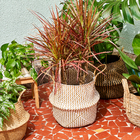 Cesto De Seagrass Branco Com Alças 39cm - Oikos