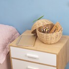 Cesto de Vime Redondo com Tampa Maça 22x23x22 Textura Rattan Oikos