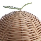 Cesto de Vime Redondo com Tampa Maça 22x23x22 Textura Rattan Oikos