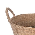 Cesto Fibra Natural Seagrass com Listra Branca 10L 28x37x37cm Oikos