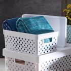 Cesto Organizador Com Tampa Quadratta G Paramount