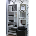 Cesto Organizador Plástico Preto 4,5L 12x18,5x27cm Spaceo