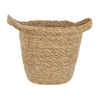 Cesto Orquídeas 110g Ts Brasil