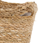 Cesto Orquídeas 110g Ts Brasil