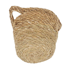 Cesto Orquídeas 700g Ts Brasil