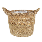 Cesto Orquídeas 700g Ts Brasil