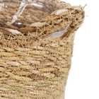 Cesto Orquídeas 700g Ts Brasil